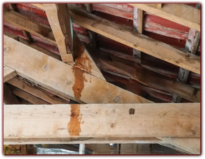 Fuite Toiture Intervention d'Urgence - Charente & Charente-Maritime